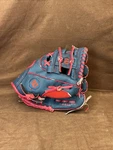 Wilson A0200 Boston Red Sox Baseball Glove 10" Youth Size,. Fixed Price $14.99.
