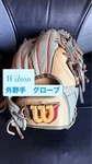Wilson Outfielder Gloves Snake Skin Rainproof Used. Fixed Price $294.99.