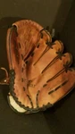 Power Bolt Onslaught Baseball Glove 11" Right Hand Throw Rht D110N. Fixed Price $19.99.