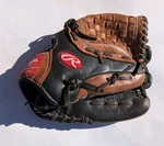 Rawlings D1200BDB 12" Baseball Glove Right Hand Throw Premiuium Series. Fixed Price $24.95.