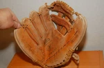Mizuno MT2022 Baseball Glove 12.5" Vintage Lht Professional Model Mitt Preowned. Fixed Price $26.99.