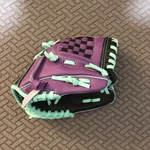Dicks Sporting Goods Youth Girls Purple Softball Glove. Fixed Price $11.99.