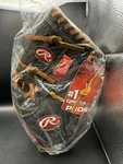 Rawlings RPSNP5 11 3/4" Leather Baseball Gold Glove Special Edition. Fixed Price $99.99.