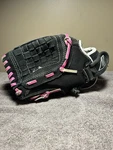 Worth Youth Stm 1000 Storm Fastpitch 10" Glove Broken In Left Throw!. Fixed Price $35.00.