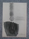 Vintage 1966 Don Drysdale Spalding 42-227 Baseball Glove Advertisement. Fixed Price $5.99.