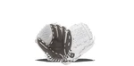 Wilson A1000 P12 12" Rht Pitchers Glove. Fixed Price $155.00.