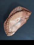 Vintage Spalding 42-4425 Joe Torre Advisory Staff 1B 1ST Baseman Baseball Glove. Fixed Price $39.99.