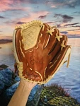 Rawlings Gold Glove Elite GGE12BC Baseball Right Hand Throw. Fixed Price $59.95.