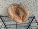Vintage Nokona Pro Line Catchers Mitt Mens Brown Leather Right Hand Throw. Fixed Price $63.99.
