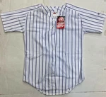 Rawlings WPS20 White And Purple Women's Pinstripe Jersey. Fixed Price $8.95.