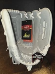 Rawlings HFP120GW Fast Pitch Softball Glove Nwt. Fixed Price $29.99.