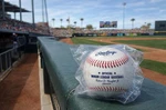 Rawlings Official Minor League Baseball Milb Autograph New Wrapper. Fixed Price $15.99.